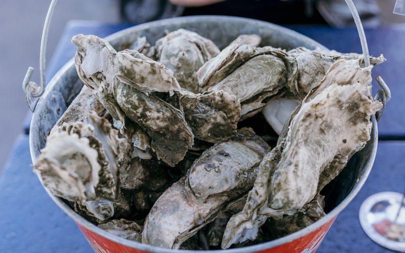 mpw-events-oyster-roast